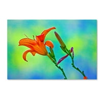 Zaštitni znak likovna umjetnost 'Orange Flower 2' platna umjetnost Lieberman