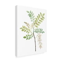 Vision Studio 'meka zelena botanički I' platno umjetnost