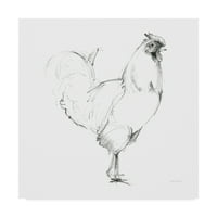 Zaštitni znak likovna umjetnost 'Rooster II Dark Square' platno umjetnost od strane Avery Tillmona